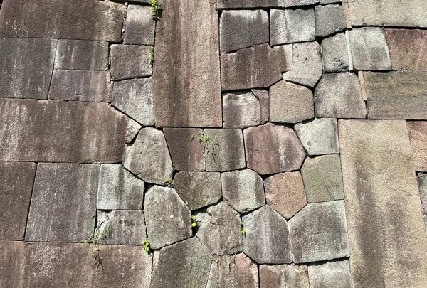 金沢城公園の写真・動画_image_557433