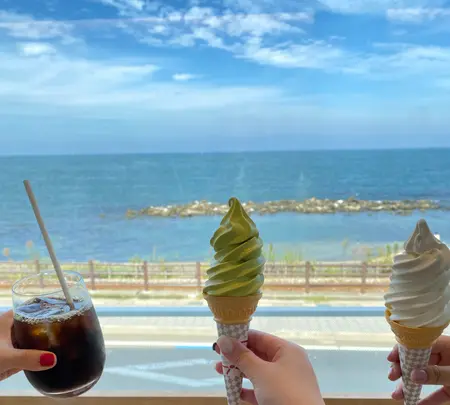 道の駅 雨晴の写真・動画_image_557817