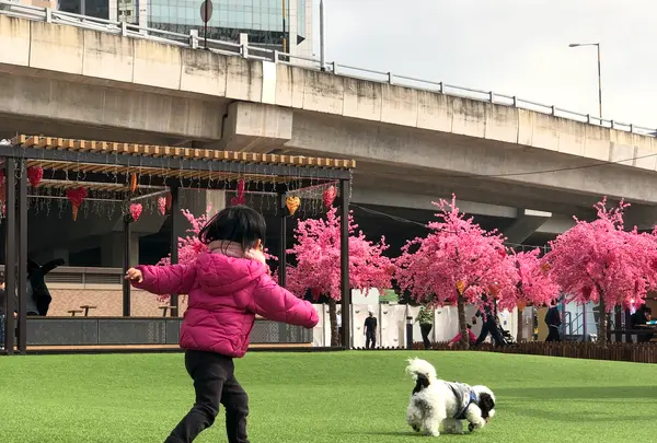東岸公園主題區（第一期）の写真・動画_image_557870