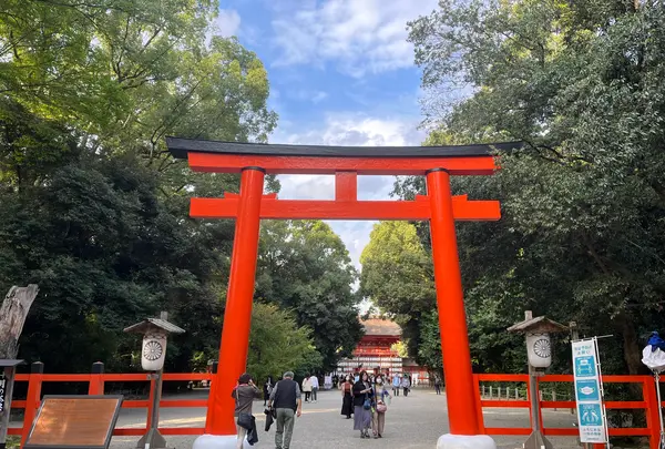 下鴨神社（賀茂御祖神社）の写真・動画_image_558035