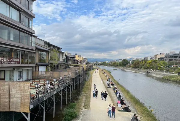 鴨川の写真・動画_image_558053
