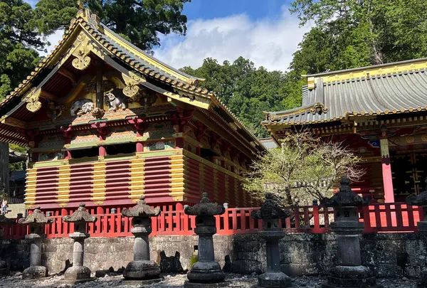 日光東照宮の写真・動画_image_558615