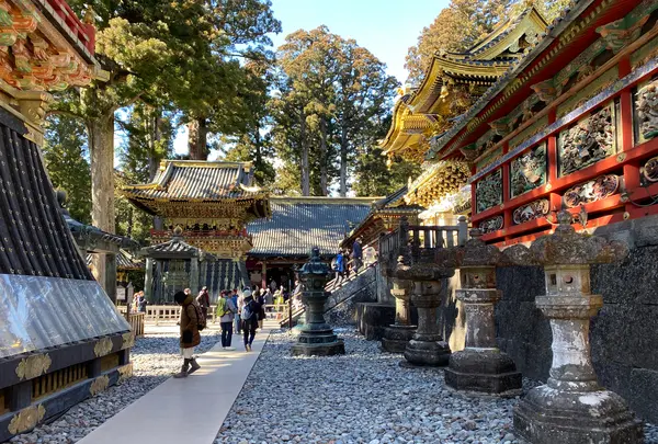 日光東照宮の写真・動画_image_558619