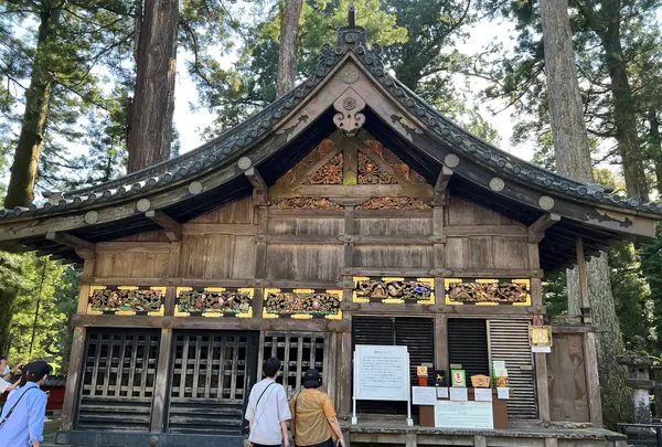 日光東照宮の写真・動画_image_558620