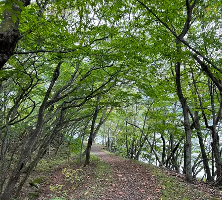 中禅寺湖の写真・動画_image_558685