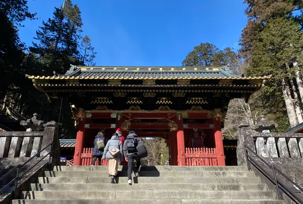 日光山輪王寺 大猷院仁王門の写真・動画_image_558688