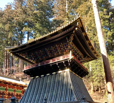 日光山輪王寺 大猷院仁王門の写真・動画_image_558697