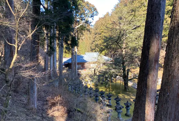 日光山輪王寺 大猷院仁王門の写真・動画_image_558698