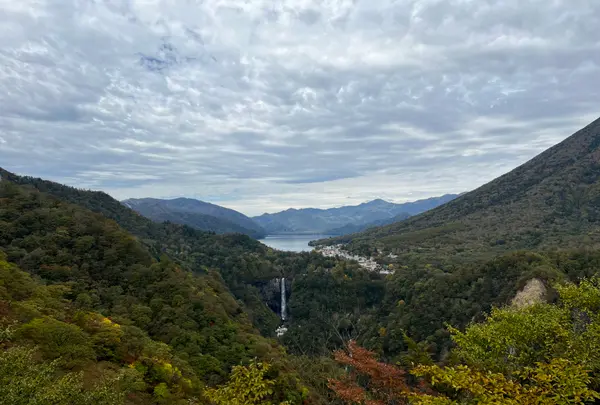 明智平展望台の写真・動画_image_558755