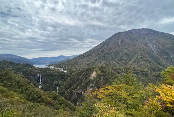 明智平展望台の写真・動画_image_558756