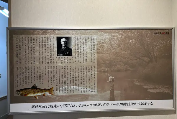 さかなと森の観察園の写真・動画_image_558764