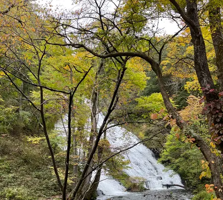 湯滝の写真・動画_image_558772