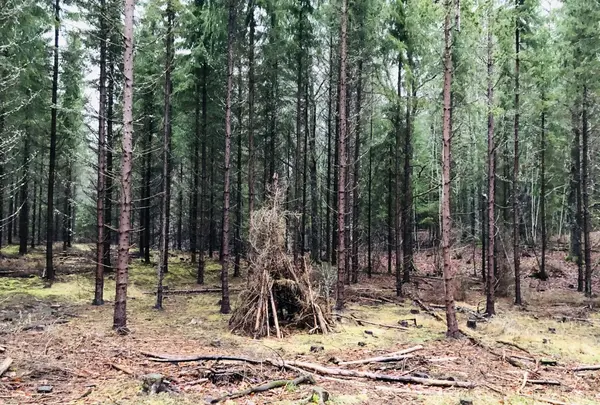 Pietiläntie 23の写真・動画_image_558875
