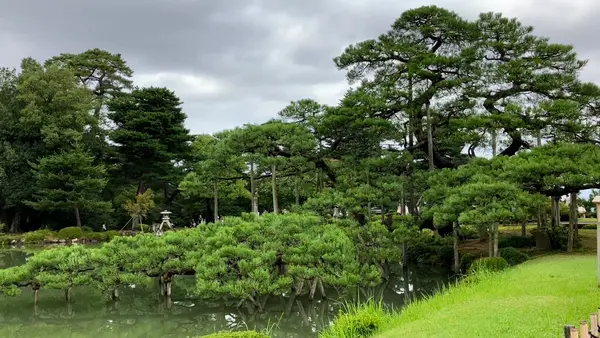 兼六園の写真・動画_image_559030