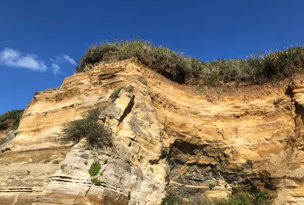 銚子マリーナ海水浴場の写真・動画_image_559234