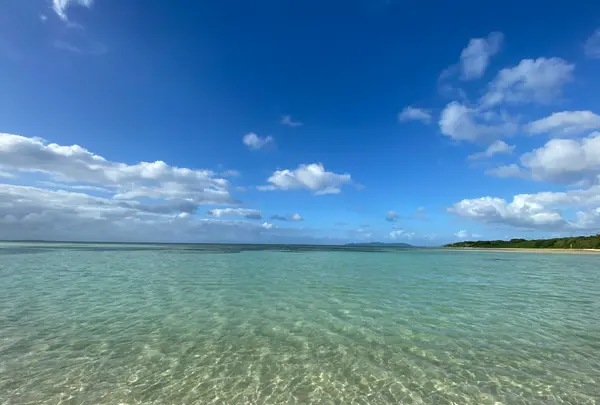 コンドイ浜の写真・動画_image_559519