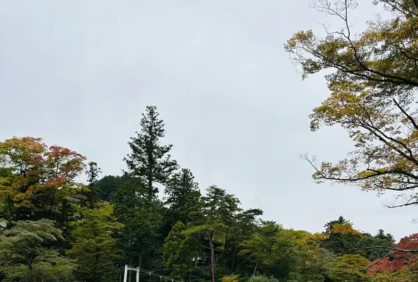 御岳渓谷の写真・動画_image_559596