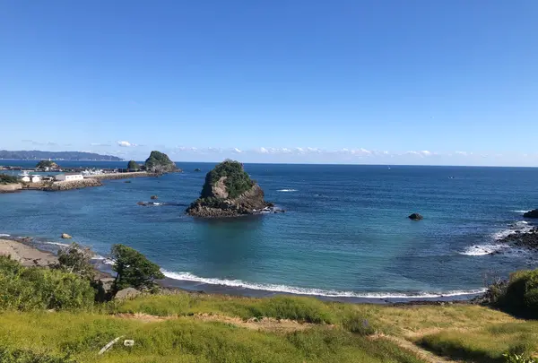 鴨川松島の写真・動画_image_559753