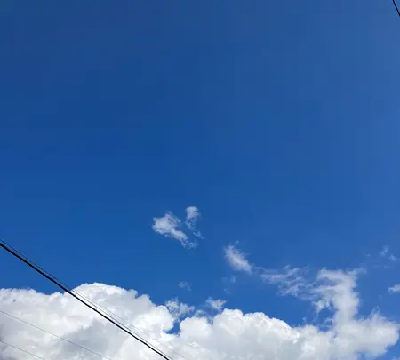 いだ天の写真・動画_image_560345