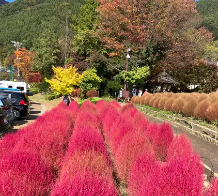 大石公園の写真・動画_image_560377