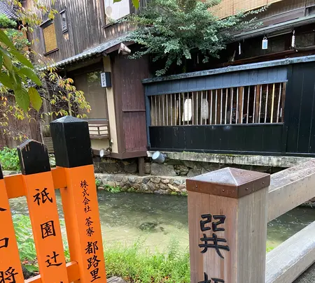 祇園白川の写真・動画_image_560392
