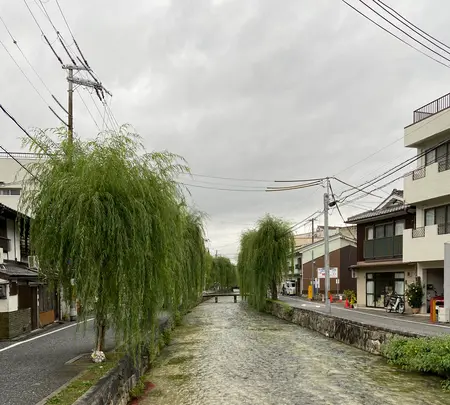 祇園白川の写真・動画_image_560394