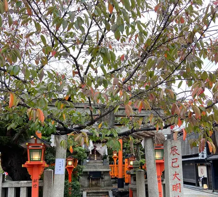 祇園白川の写真・動画_image_560398