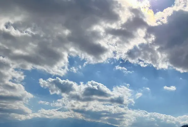 大石公園の写真・動画_image_560407