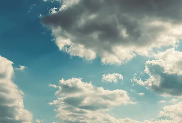 大石公園の写真・動画_image_560408