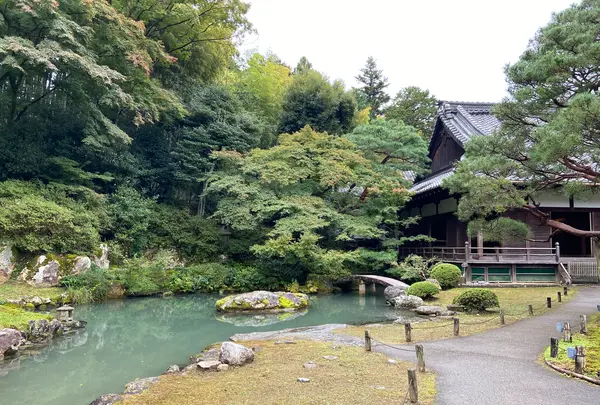 青蓮院の写真・動画_image_560415