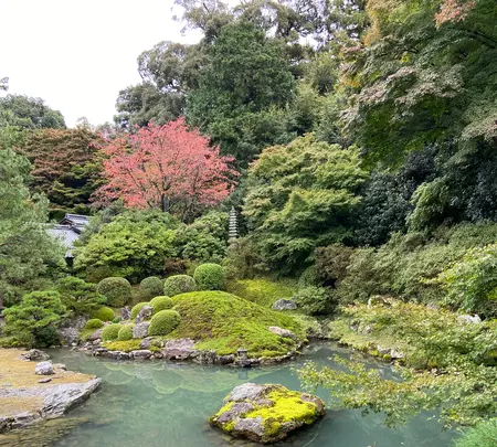 青蓮院の写真・動画_image_560417