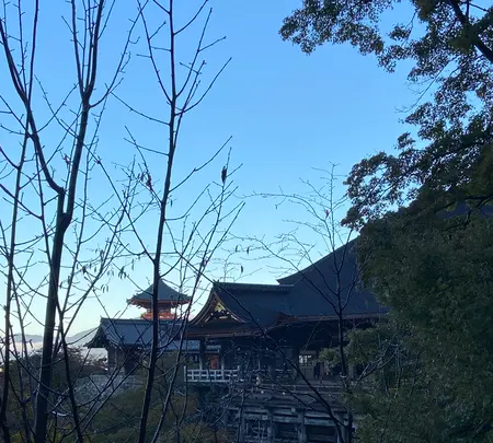 清水寺の写真・動画_image_560424