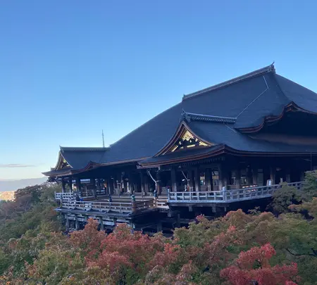 清水寺の写真・動画_image_560425