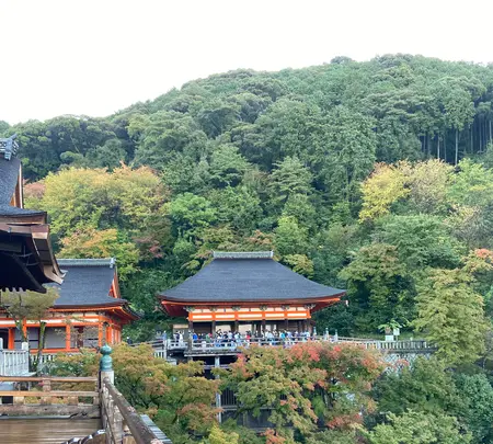 清水寺の写真・動画_image_560426