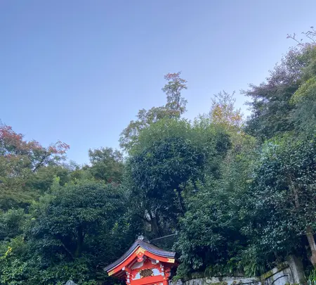 清水寺の写真・動画_image_560427