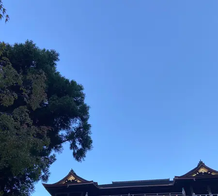 清水寺の写真・動画_image_560429