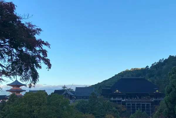 清水寺の写真・動画_image_560430