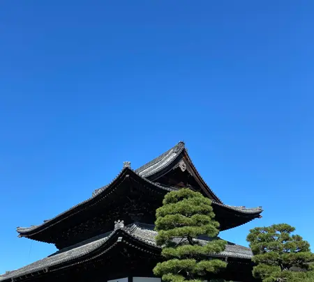 建仁寺の写真・動画_image_560434
