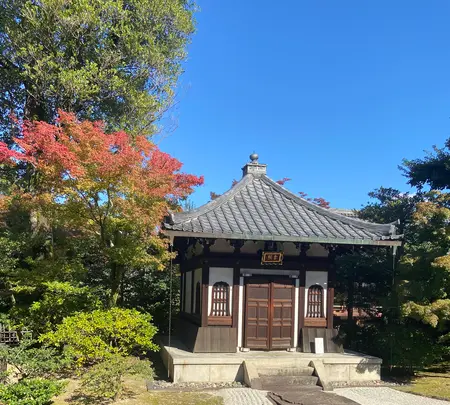 建仁寺の写真・動画_image_560442