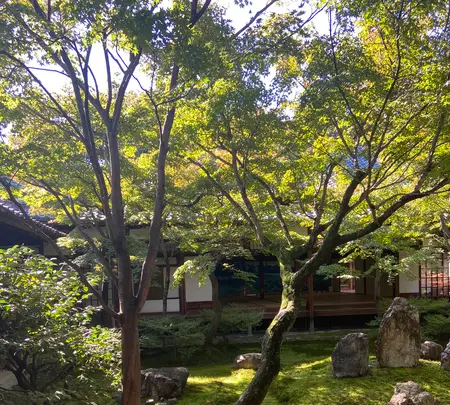 建仁寺の写真・動画_image_560443