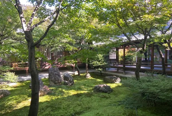 建仁寺の写真・動画_image_560444