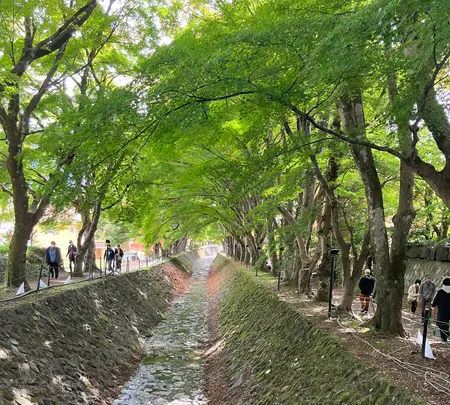 もみじ回廊の写真・動画_image_560451