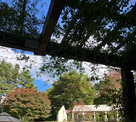 桔梗屋河口湖フラワーガーデンの写真・動画_image_560476