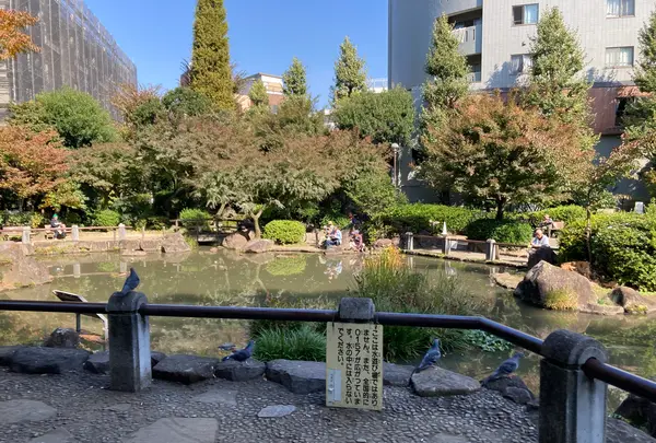 新井薬師公園の写真・動画_image_560513
