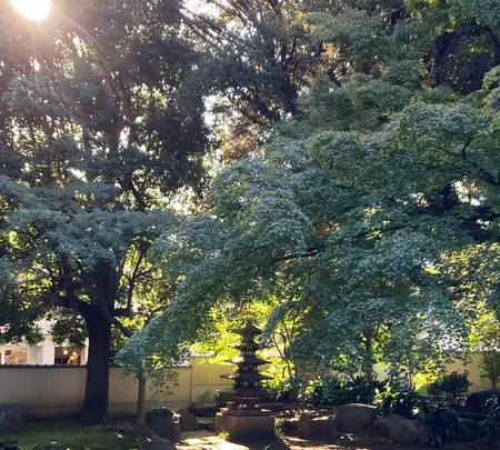 長仙寺の写真・動画_image_560520