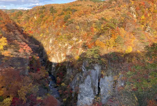 鳴子峡の写真・動画_image_560554