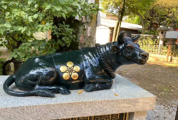 新井天神北野神社の写真・動画_image_560616