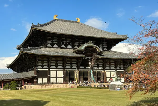 東大寺の写真・動画_image_561139