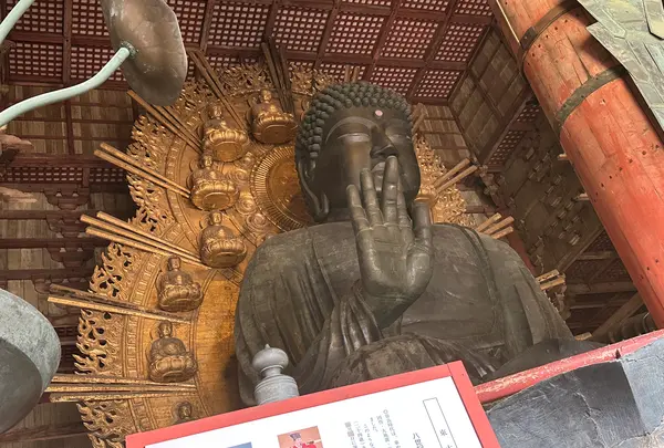 東大寺金堂（大仏殿）の写真・動画_image_561147