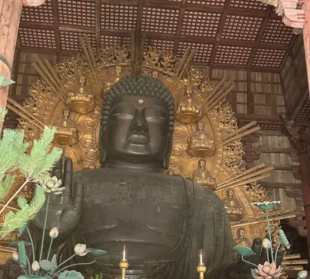 東大寺金堂（大仏殿）の写真・動画_image_561149